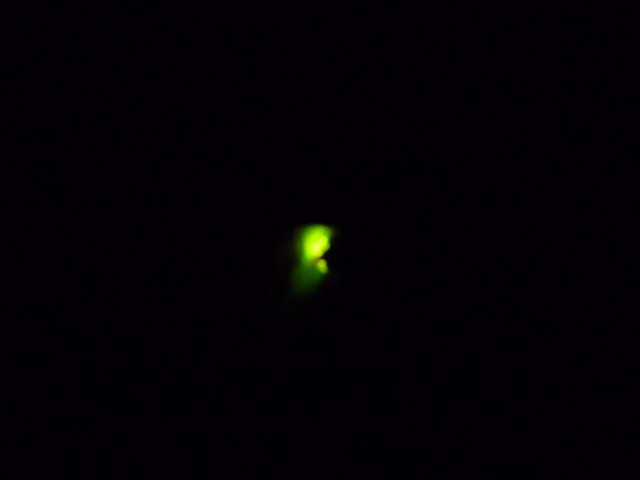 f0182513_23153281.jpg