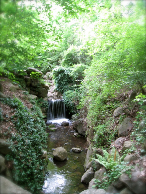 c0120817_6273879.jpg