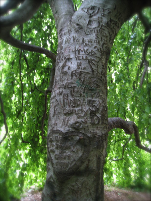 c0120817_633184.jpg