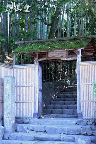 京都へ （２）-----寺院をめぐる 編_d0133320_3342877.jpg