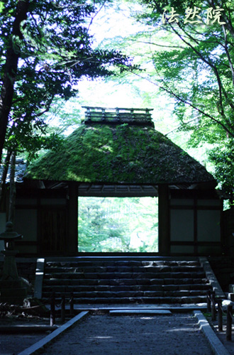 京都へ （２）-----寺院をめぐる 編_d0133320_383553.jpg