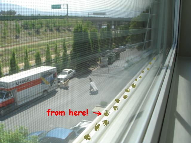 b0182124_82287.jpg