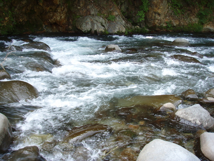 f0103126_20481114.jpg