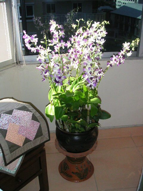 c0127933_151543.jpg