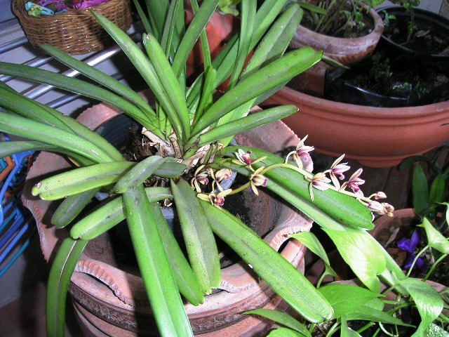 c0127933_1521363.jpg