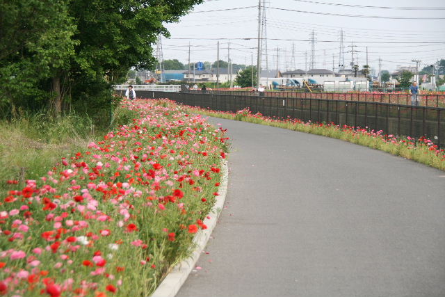 e0064133_23293270.jpg