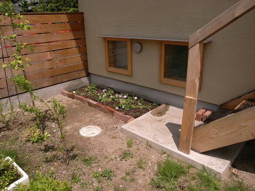 Nさんのいえ その後の植栽の様子 2009/5/22_a0039934_197842.jpg