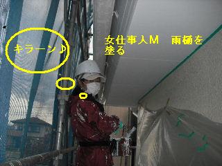 工事完成_f0031037_2130143.jpg