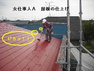 工事完成_f0031037_2133594.jpg
