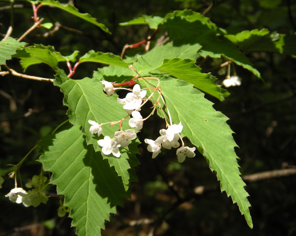 c0047341_843189.jpg