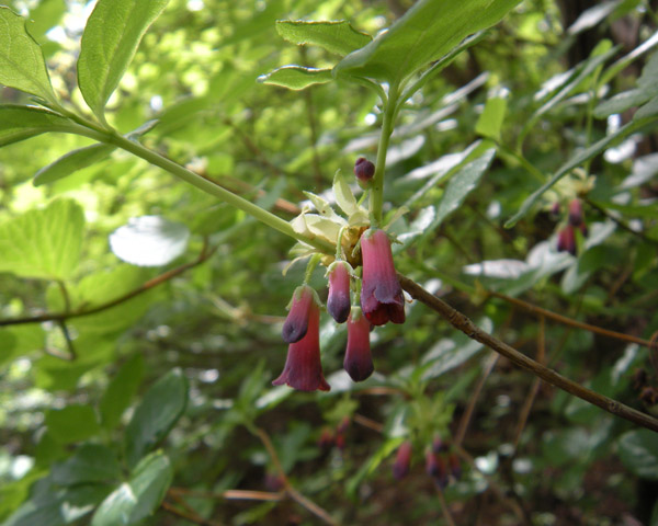 c0047341_875270.jpg