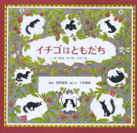 野いちご_c0085543_20381032.jpg