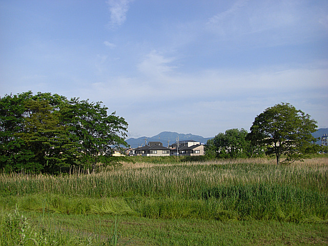 b0088444_21482783.jpg