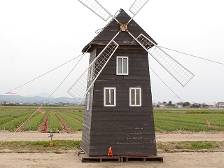 風車小屋_b0118544_12531679.jpg