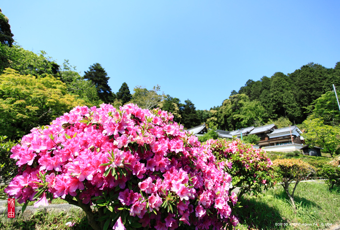 妙見山 應聖寺　涅槃仏の篇_c0187744_1942247.jpg