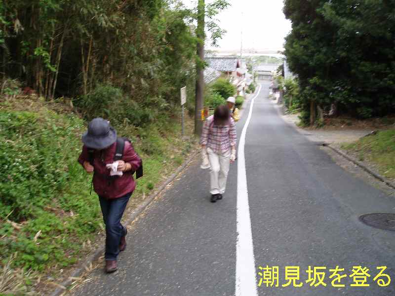 東海道ウォーク：ＪＲ高塚駅から白須賀まで_b0082147_05088.jpg