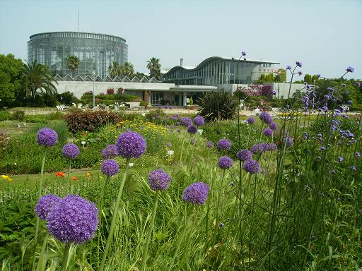 千葉市花の美術館　Part1・外庭のご案内_c0164052_7475722.jpg