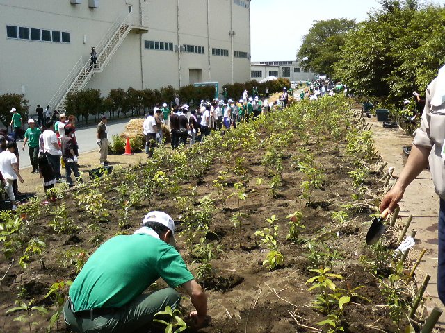 千年の杜　植樹祭_a0086656_18242054.jpg