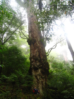 b0160957_8234277.jpg