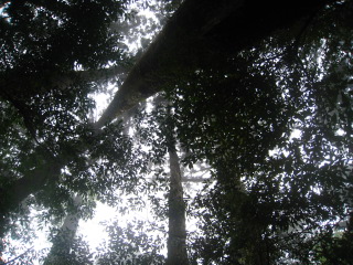 b0160957_8242699.jpg