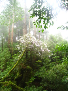 b0160957_8253062.jpg