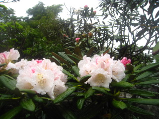 b0160957_8275613.jpg