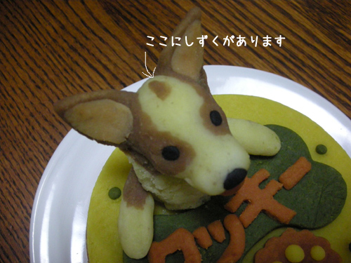 クッキーの誕生日！おめでとう～～っ！！_a0117065_2054526.jpg