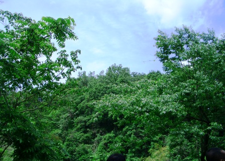 b0173770_14331491.jpg