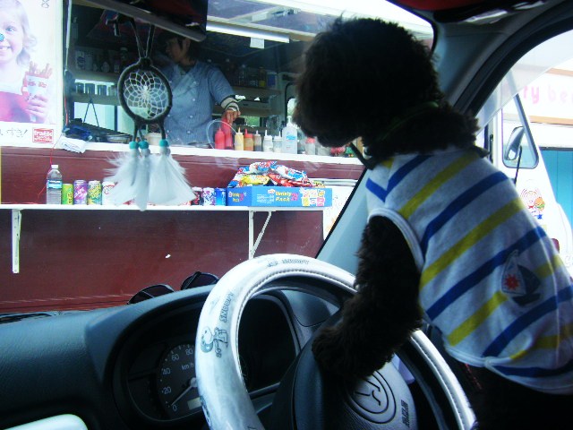 f0207970_8387.jpg
