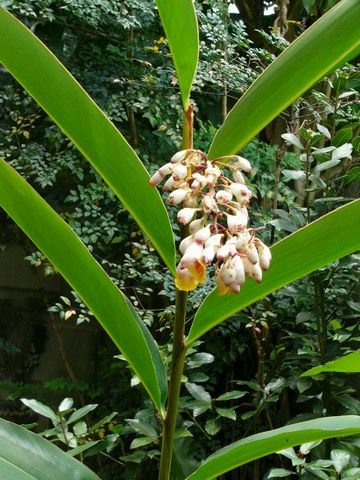 c0139375_1722057.jpg