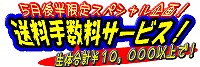 明日正午には福岡交通センターへ！_e0099576_9532713.jpg