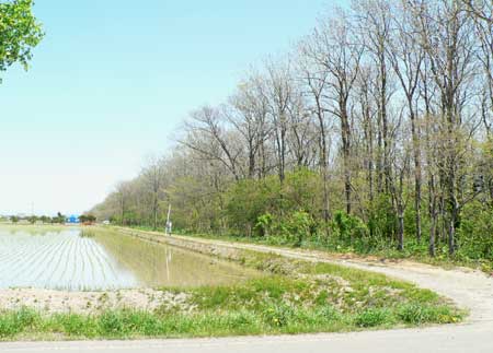 f0083977_14472628.jpg