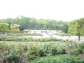 f0091282_22535972.jpg
