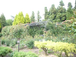 f0091282_22542930.jpg
