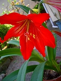 e0150989_14161781.jpg