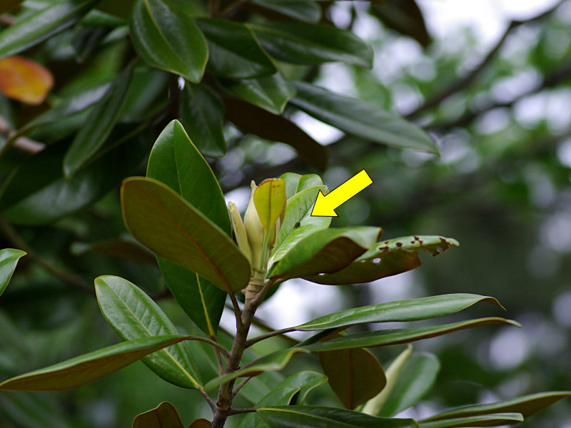 f0204094_8572764.jpg