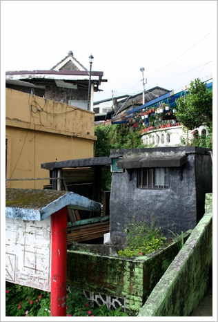 c0053898_1272245.jpg