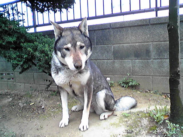 f0079202_1858969.jpg