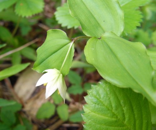 f0187402_0592980.jpg