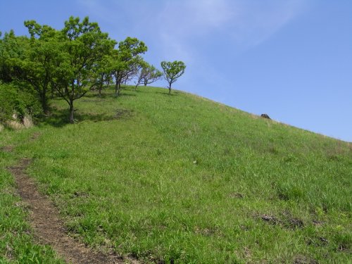 f0187402_0595461.jpg