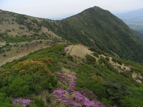 f0187402_124882.jpg