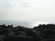b0137704_0363316.jpg