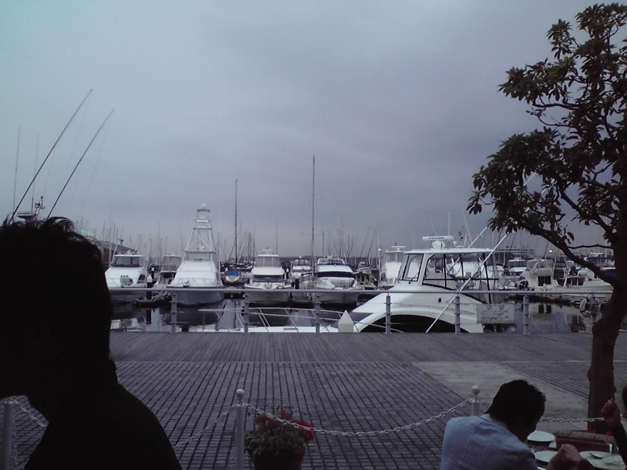 c0172404_382882.jpg
