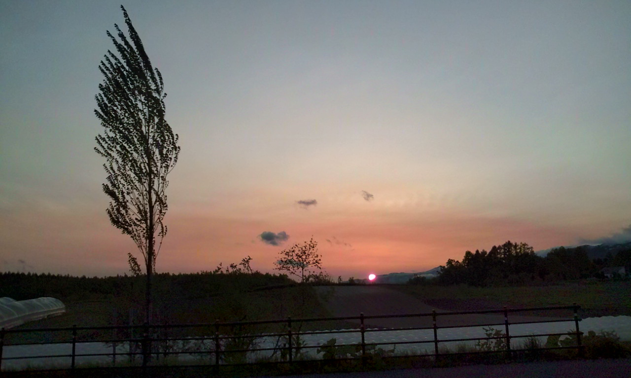 f0200604_2158731.jpg
