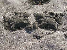 e0012808_1517513.jpg