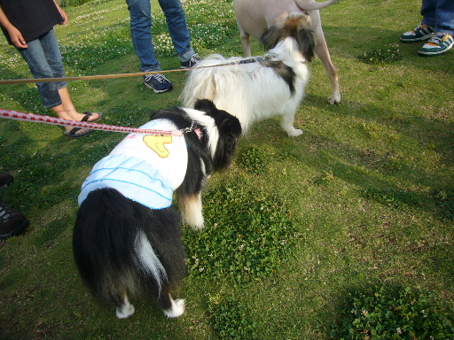 e0130008_22201979.jpg