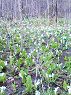 b0028109_22441561.jpg