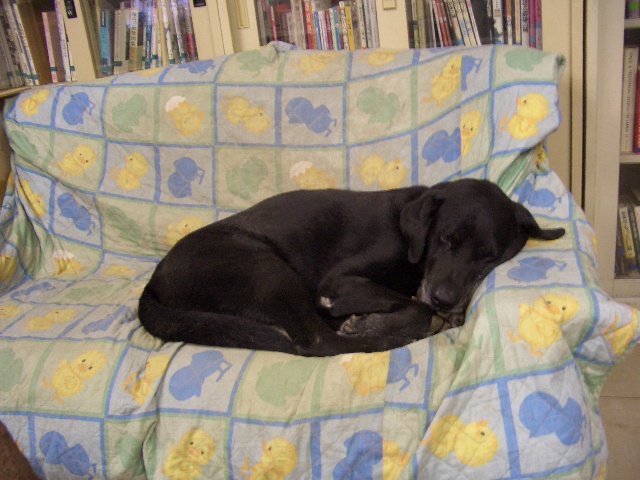 c0116610_1218525.jpg
