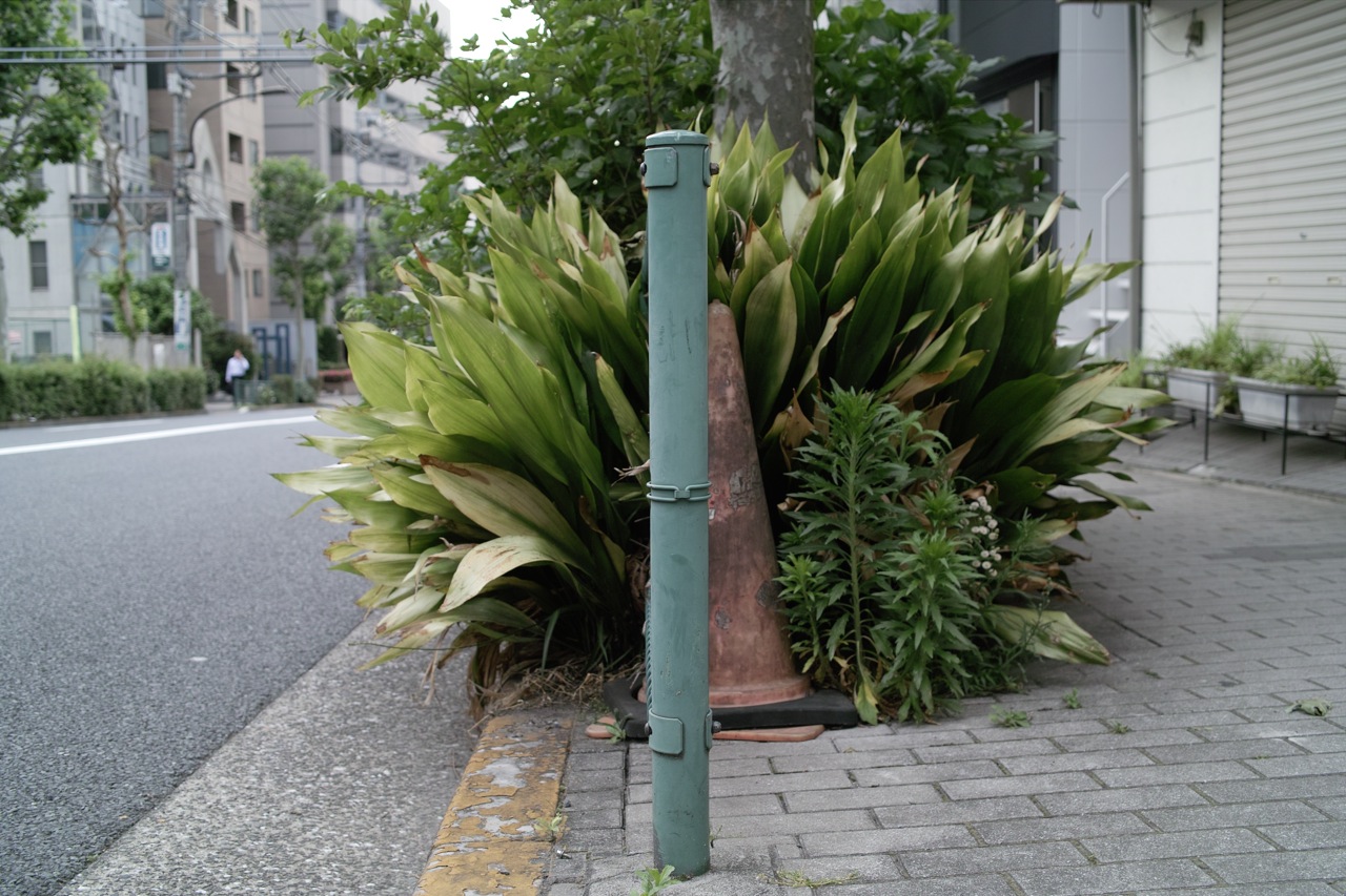 b0137311_21182562.jpg