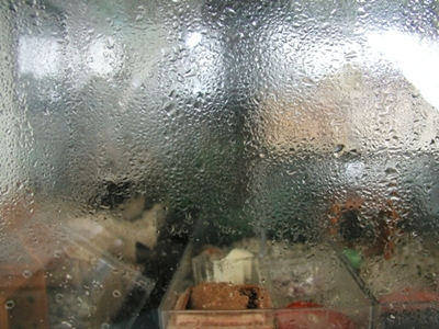 a0043512_11244985.jpg